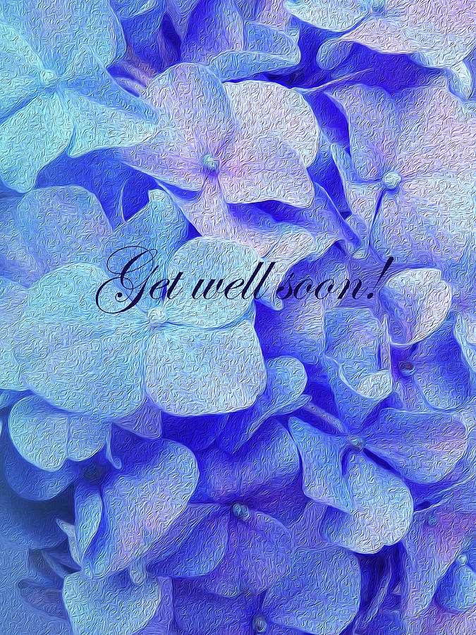 Blue Purple Hydrangea Get Well Soon by Johanna Hurmerinta Blue Purple Hydrangea Get Well Soon by Johanna Hurmerinta