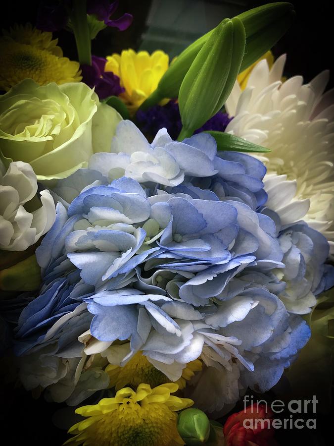 Flower Photograph - Blue radiance by Ellen Stanton