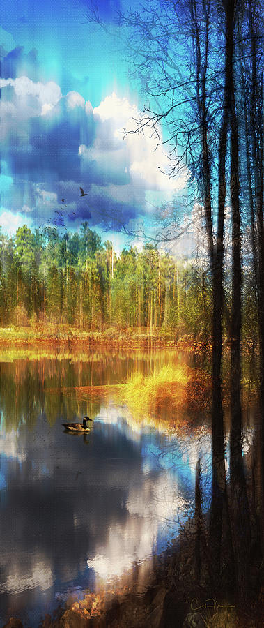 Blue Rainbow View by Orenda Pixel Design Blue Rainbow View by Orenda Pixel Design