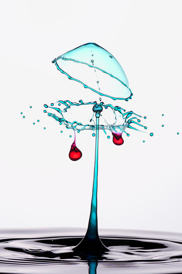 Blue Red Water Droplet Photograph by Andreas Karyadi