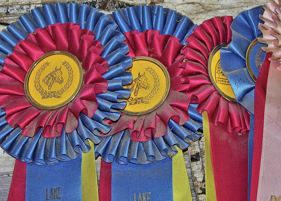 Blue Ribbons Photograph by Dressage Design