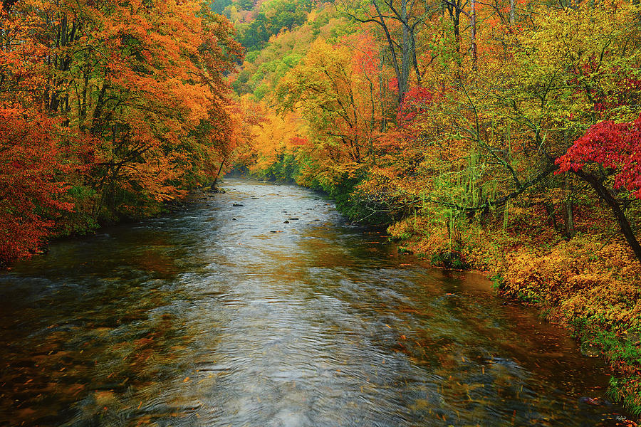 Fall Photograph - Blue Ridge Autumn by Greg Norrell
