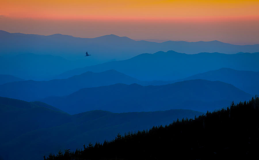 Blue Ridge Photograph by Benjamin M. Li