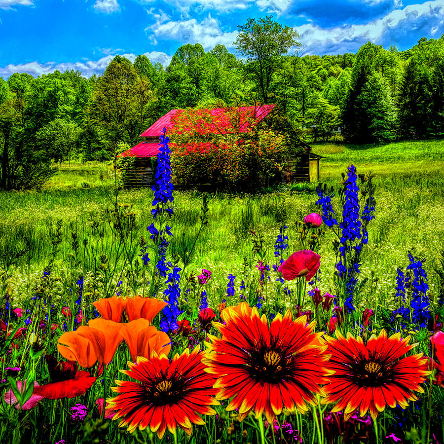 Blue Ridge Country Wildflowers Painting Photograph by Debra and Dave Vanderlaan