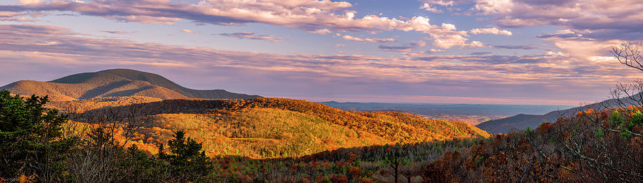Fall Photograph - Blue Ridge Golden Hour by Mark Papke