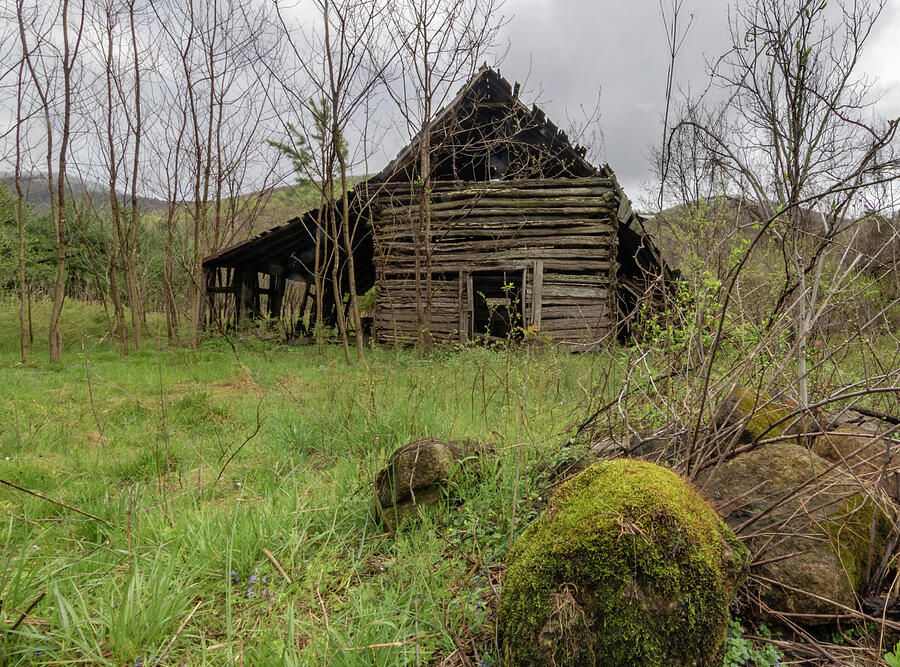 Blue Ridge Log Barn Photograph By Norma Brandsberg