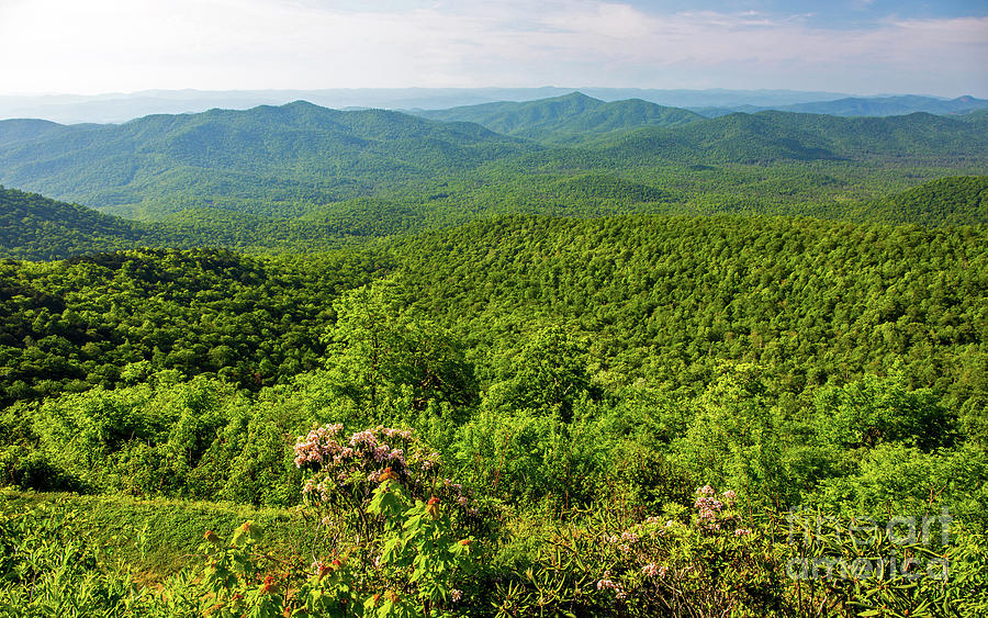 Blue Ridge Mountain Overlook by Kevin McCarthy Blue Ridge Mountain Overlook by Kevin McCarthy