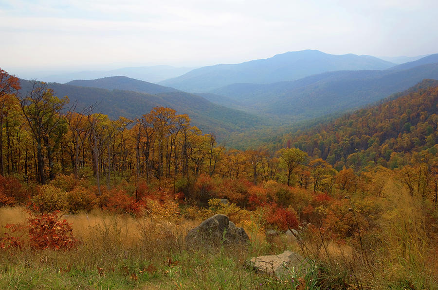 Blue Ridge Mountains In Colorful Autumn Photograph by Jpecha