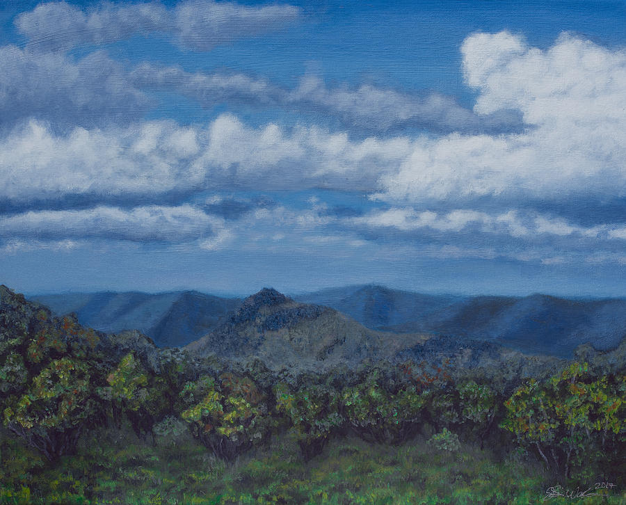 Blue Ridge Mountains Painting by J Watterson