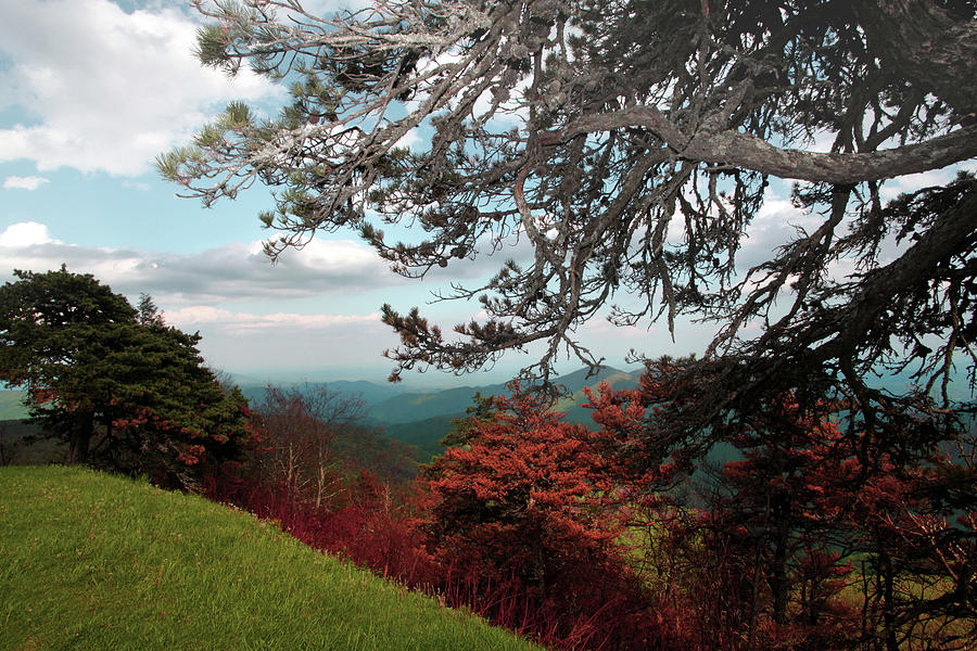 Blue Ridge Mountains Photograph by Joseph G Holland