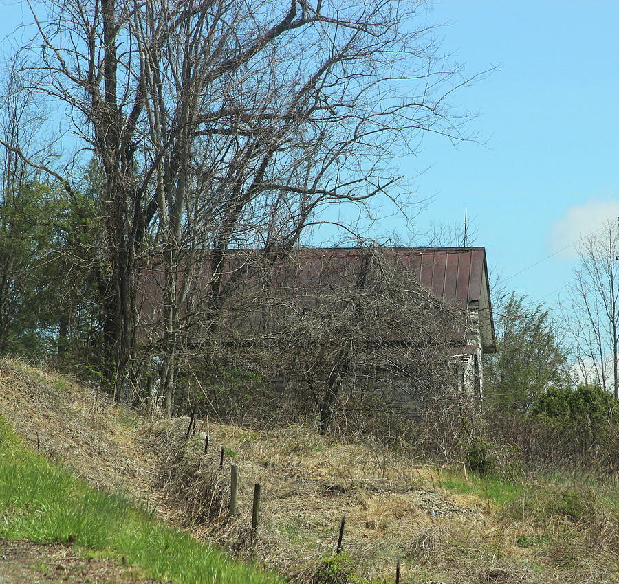 Blue Ridge Old House 5 Photograph by Cathy Lindsey - Fine Art America