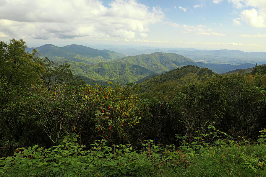 Blue Ridge Parkway 3 Photograph by Judy Vincent