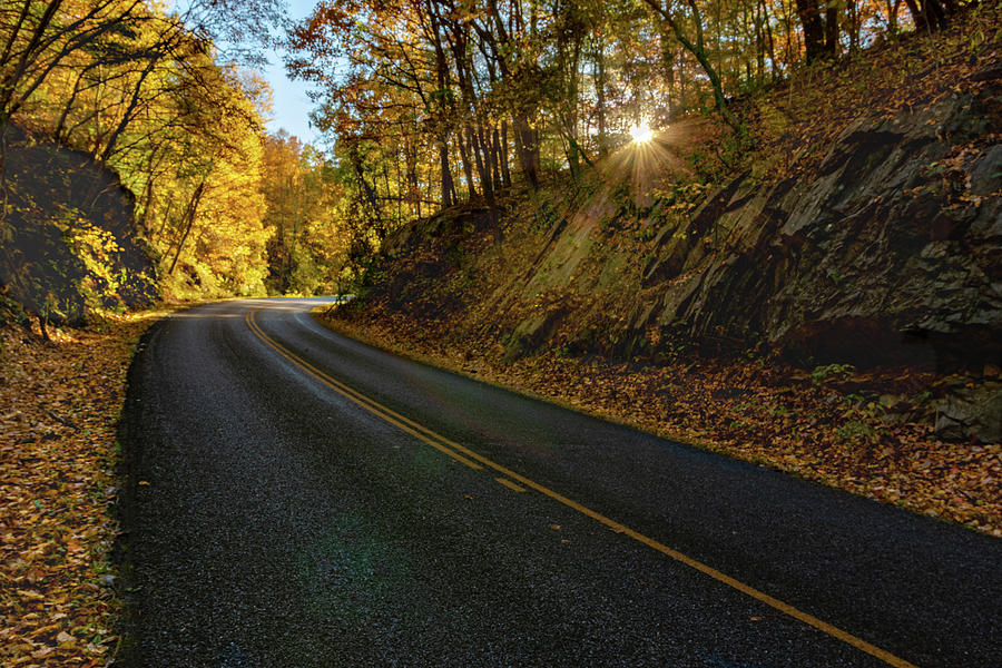 Fall Photograph - Blue Ridge Parkway Sunbeam by Norma Brandsberg