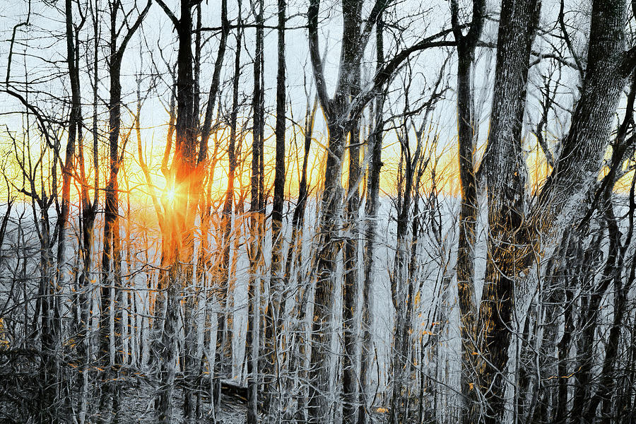 Blue Ridge Stick Trees of Winter AP Painting by Dan Carmichael