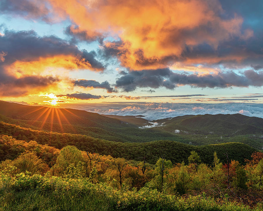 Blue Ridge Sunrise Photograph by Carl Amoth
