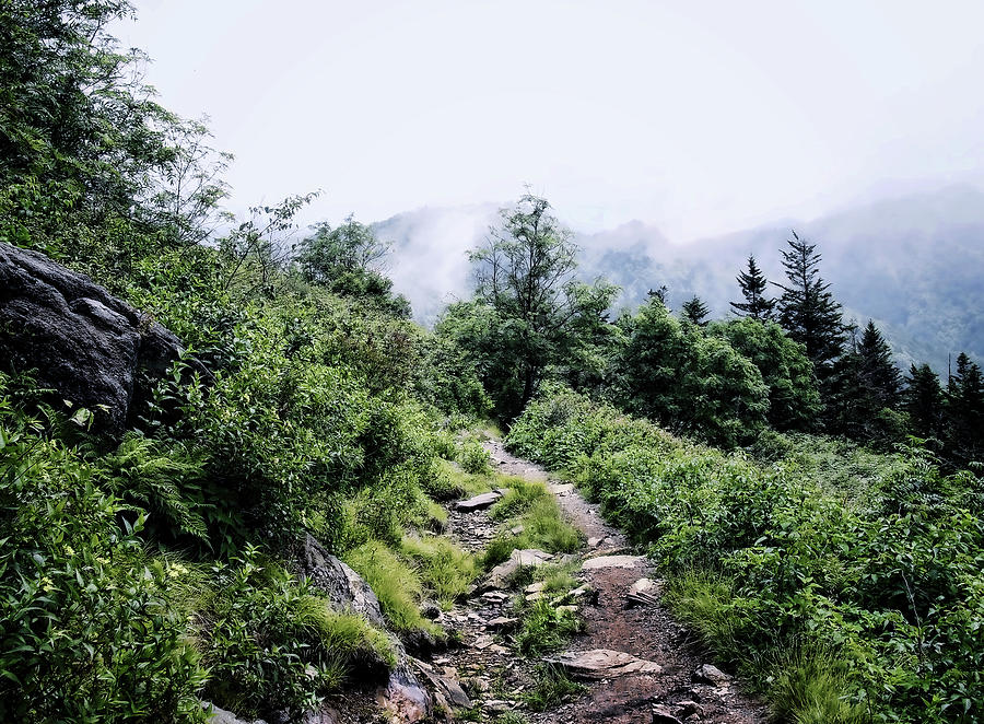 Blue Ridge Trail Photograph by Jim Hill