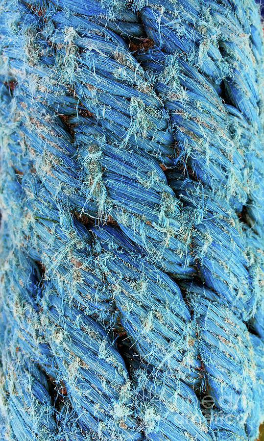 Abstract Photograph - Blue rope detail by Tom Gowanlock