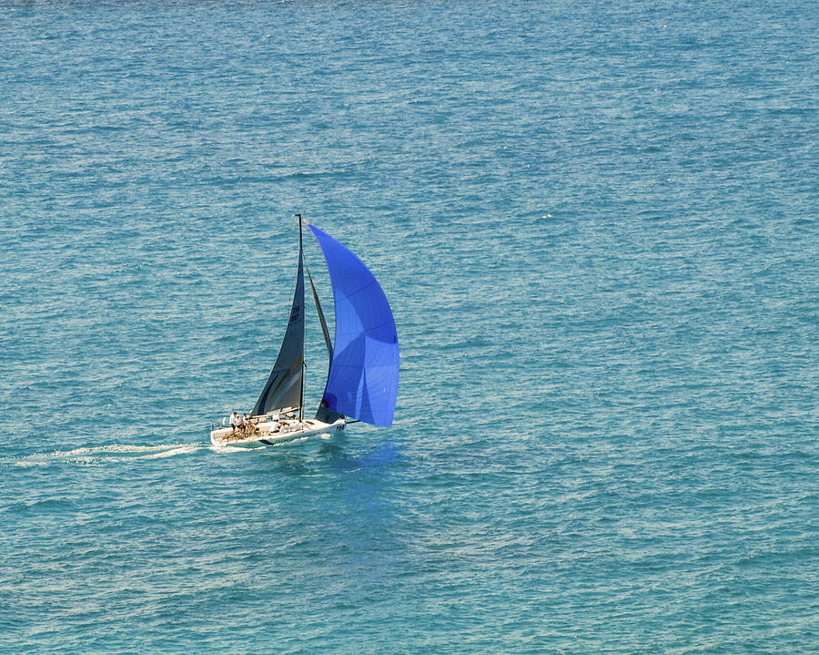 Blue Sail Photograph by Joe Kopp