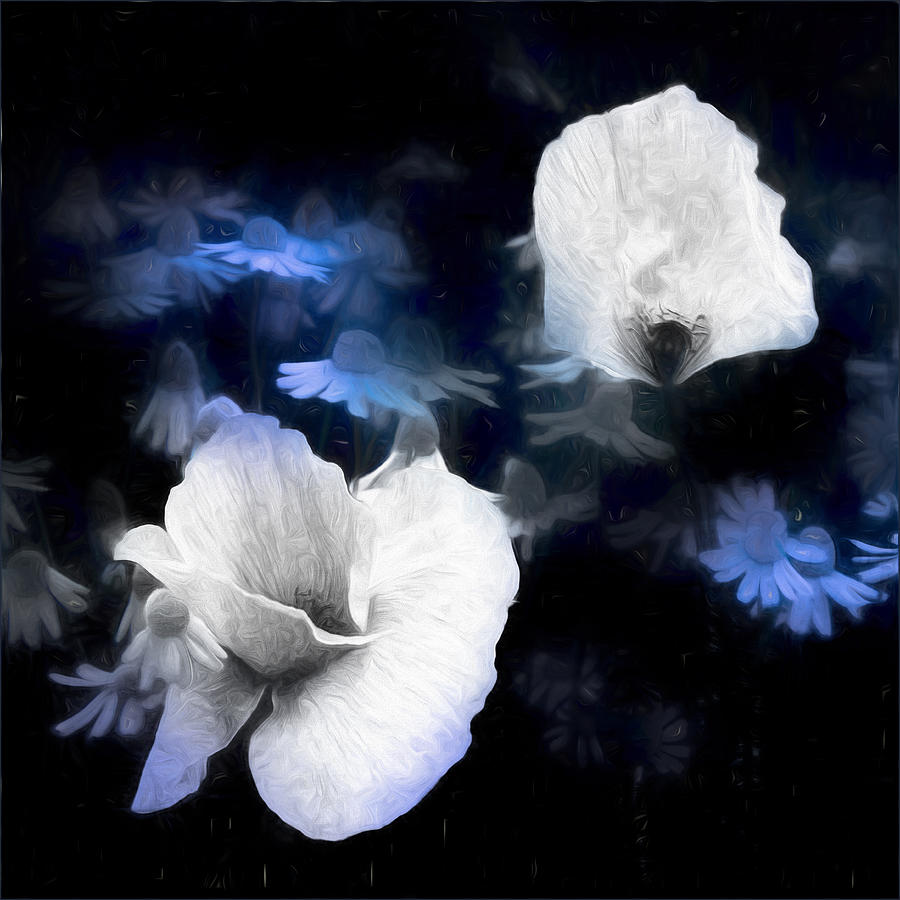 Flower Photograph - Blue Shade II by Gilbert Claes