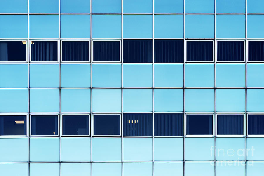 Blue Shades Photograph by Tim Gainey