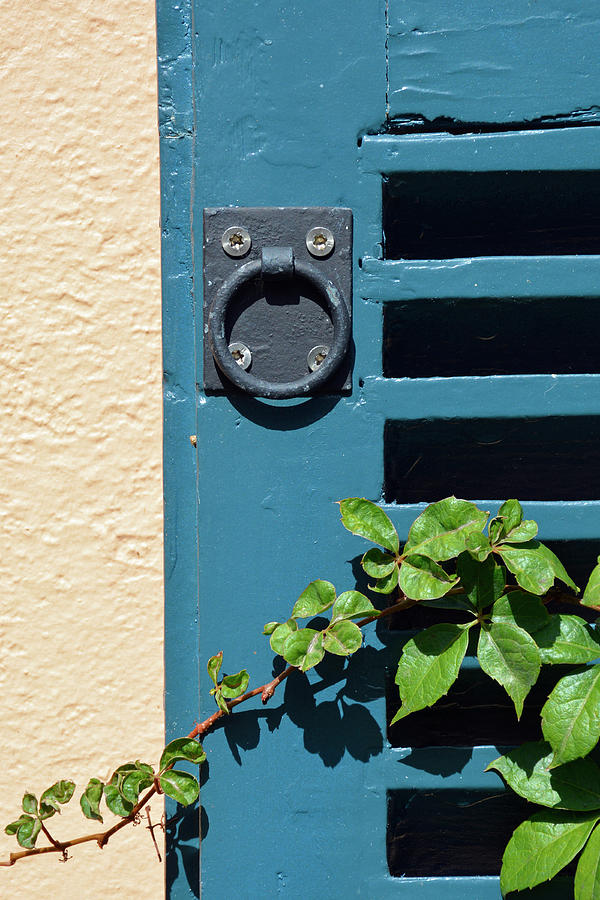 Blue Shutter and Green Vine on Jekyll Island Photograph by Bruce Gourley