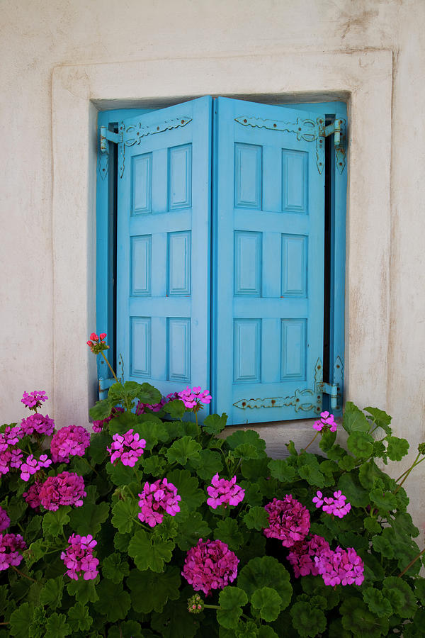 Blue Shutters And Geraniums Blooming Photograph by Darrell Gulin Blue Shutters And Geraniums Blooming Photograph by Darrell Gulin