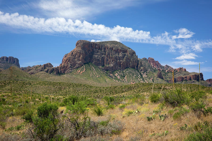 Blue Skies of Big Bend  Photograph by Harriet Feagin