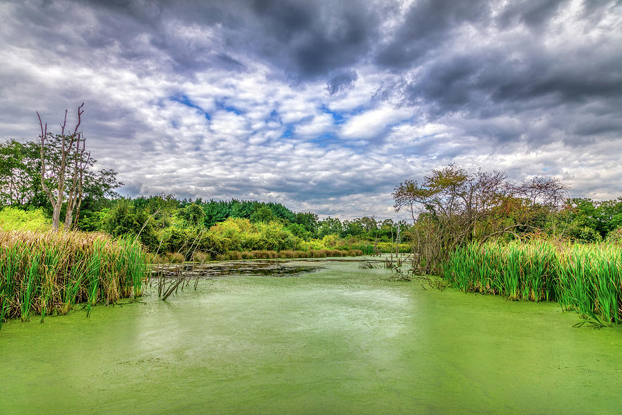 Blue Sky and Green Water Photograph by Tom Mc Nemar