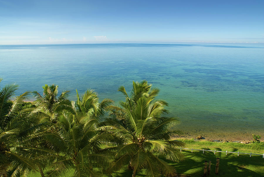 Blue Sky And Palm Trees At Noumea Bay Photograph by Juuce | Fine Art ...