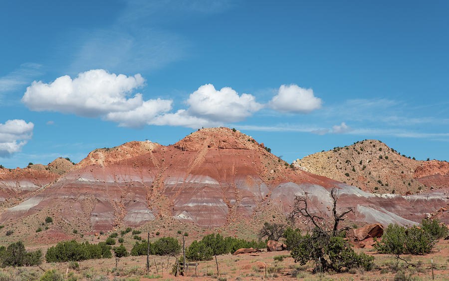 Blue Sky Red Rock and Scraggly Juniper by Tom Cochran Blue Sky Red Rock and Scraggly Juniper by Tom Cochran