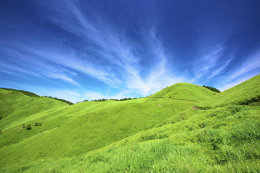 Blue Sky With Grassland Photograph by Noriyuki Araki