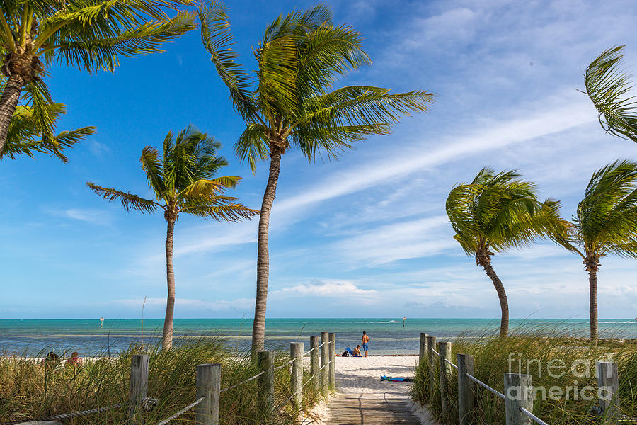 Usa Photograph - Blue Sky With White Sand And Palm Beach by Lmspencer Usa Photograph - Blue Sky With White Sand And Palm Beach by Lmspencer