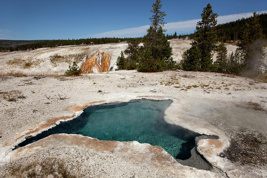 Blue Star Spring In Yellowstones Np Photograph by Milehightraveler
