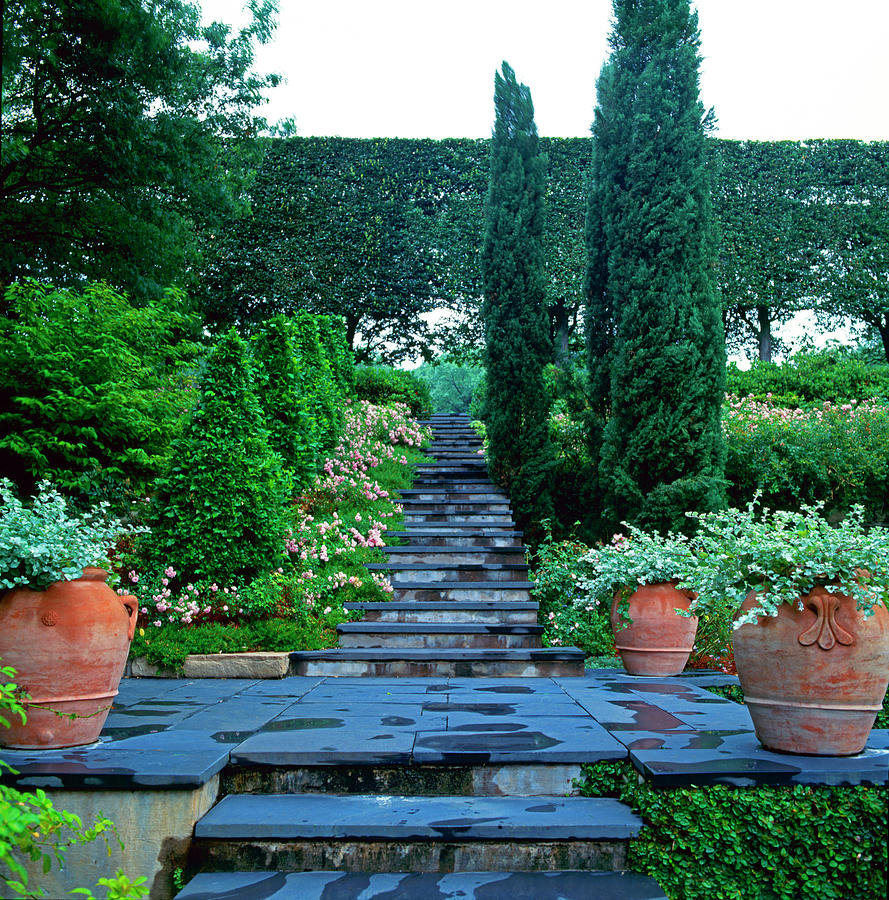 Blue Stone Patio And Stepsroses Photograph by Richard Felber