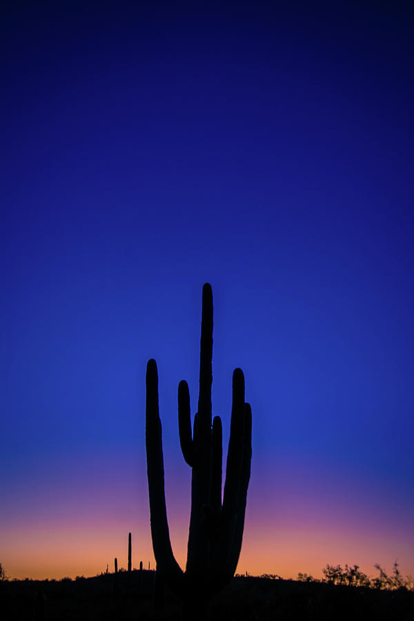 Blue Sunset Photograph by Melisa Elliott