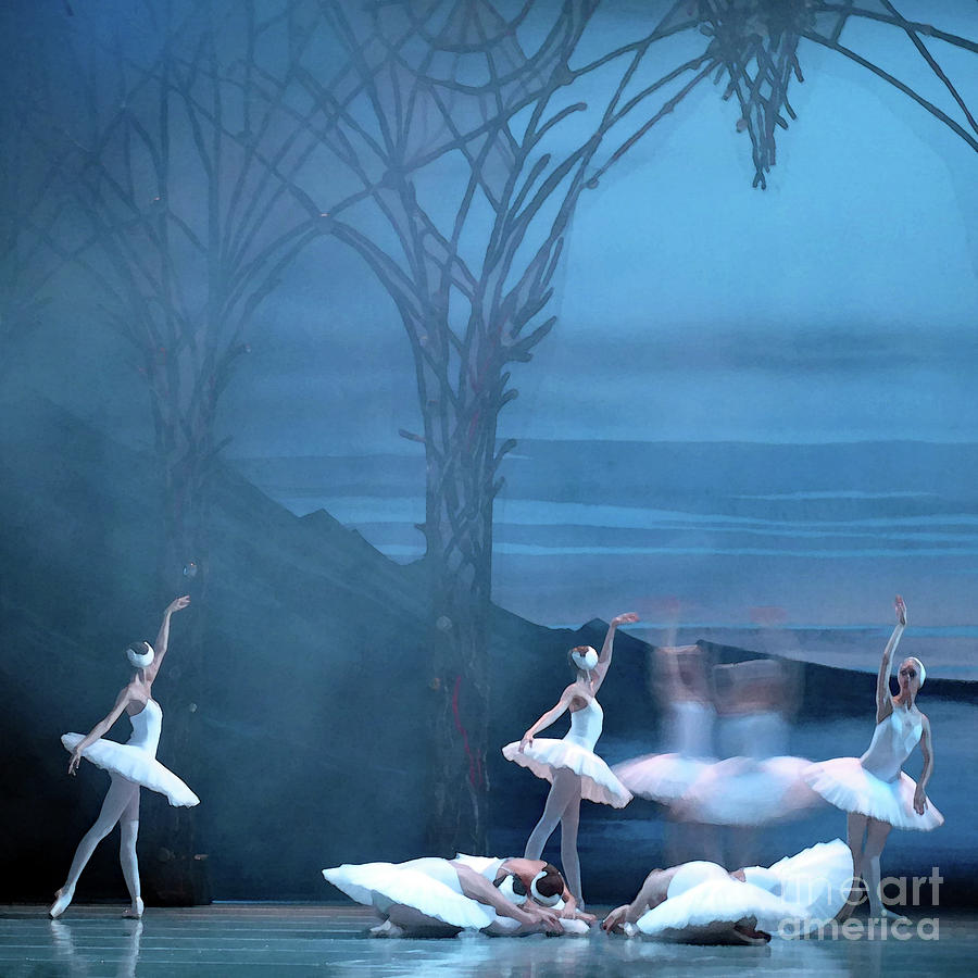 Blue Swans by PJ Boylan Blue Swans by PJ Boylan