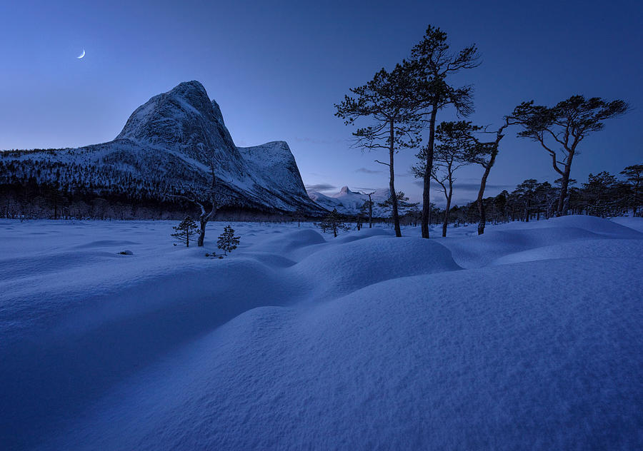 Blue Photograph by Ted Andre Nilsen