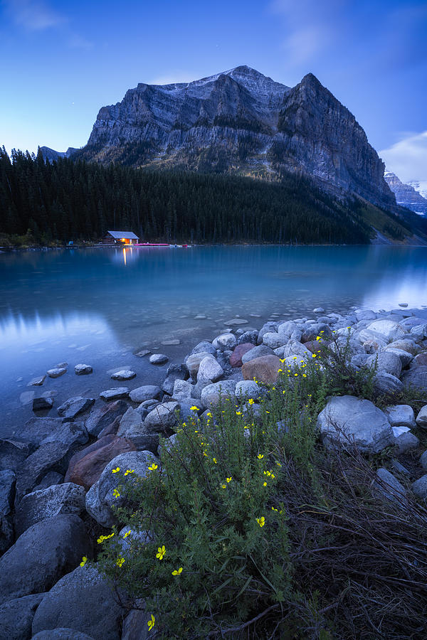 Banff National Park Photograph - Blue Time Lake Louise by Yongnan Li ?????