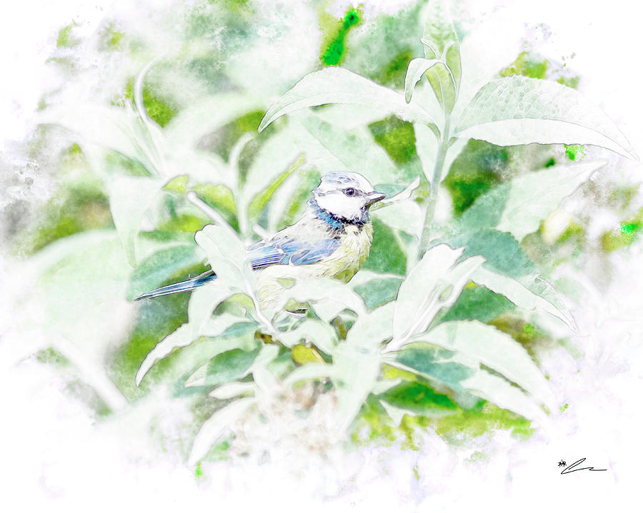 Blue tit on Buddleia by Starsphinx Blue tit on Buddleia by Starsphinx