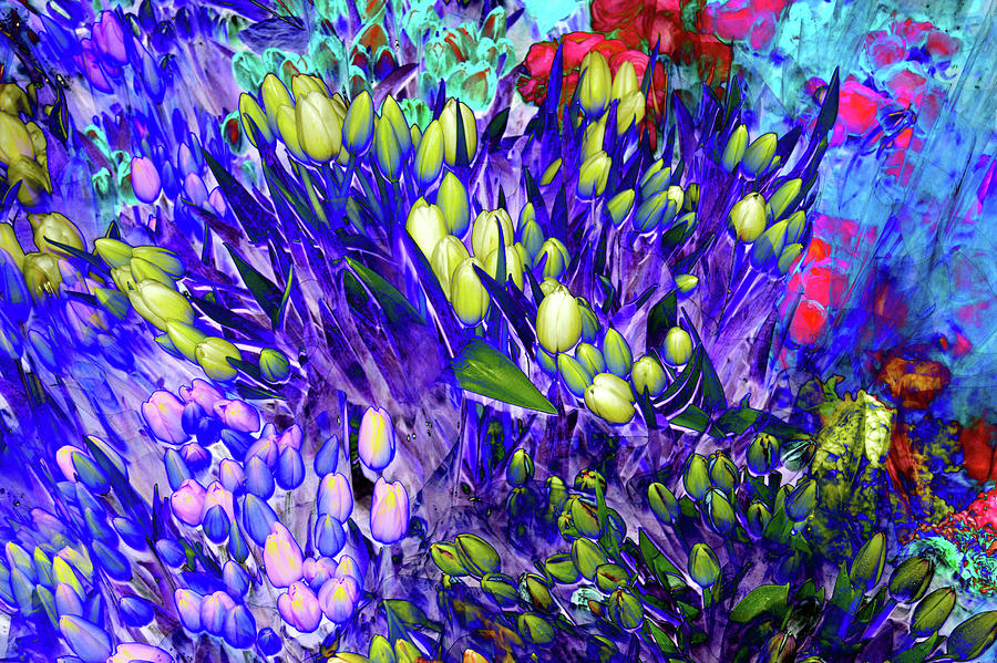 Tulip Digital Art - Blue by Tom Kelly
