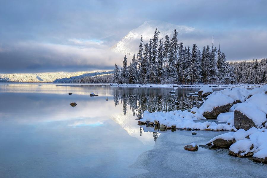 Blue tone winter Photograph by Lynn Hopwood