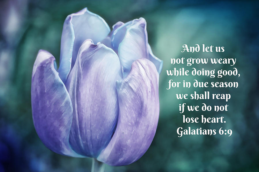 Blue Tulip with Scripture Digital Art by Gaby Ethington