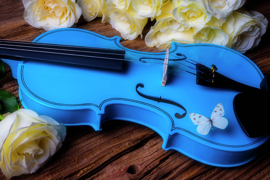 Blue Violin And White Butterfly Photograph by Garry Gay