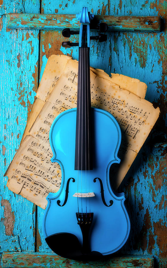 Blue Violin On Blue Wall Photograph by Garry Gay