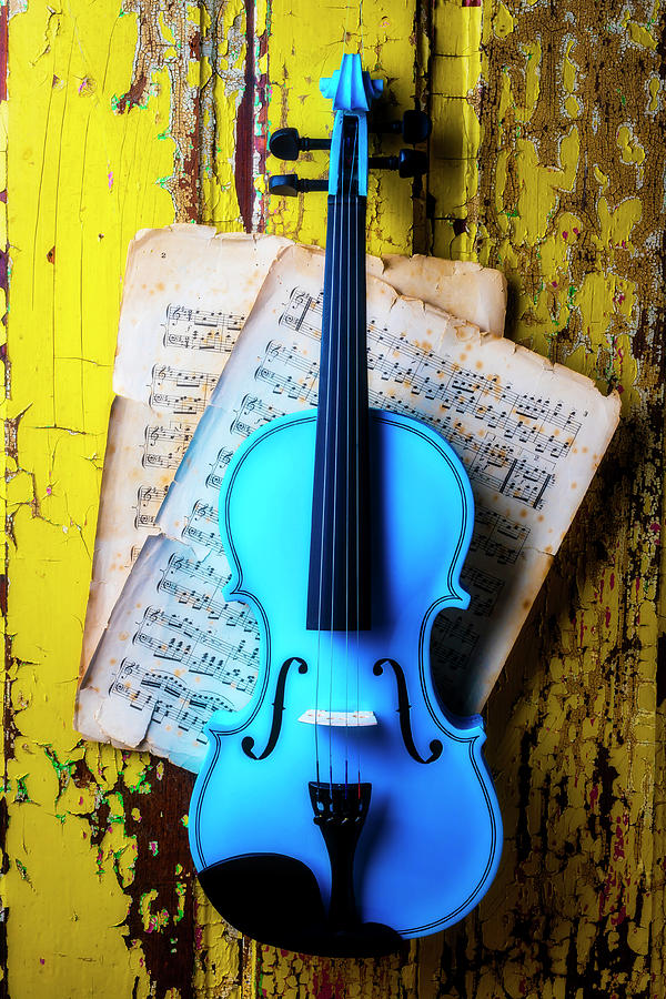Blue Violin On Yellow Door Photograph by Garry Gay