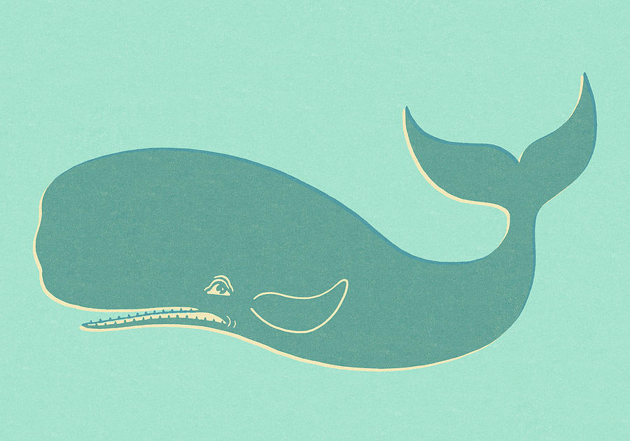 Fish Drawing - Blue Whale on Blue Background by CSA Images