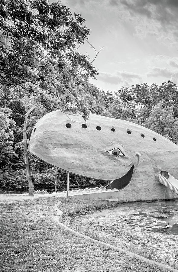 Blue Whale Route 66 Catoosa Photograph by Bert Peake