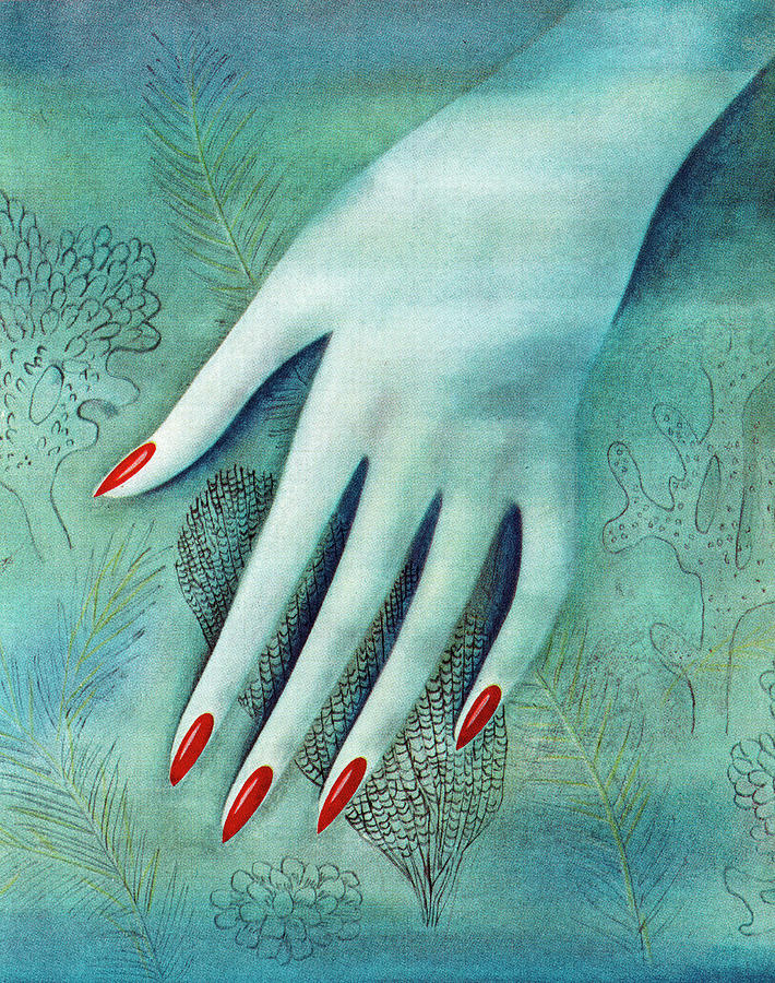 Vintage Drawing - Blue Womans Hand by CSA Images