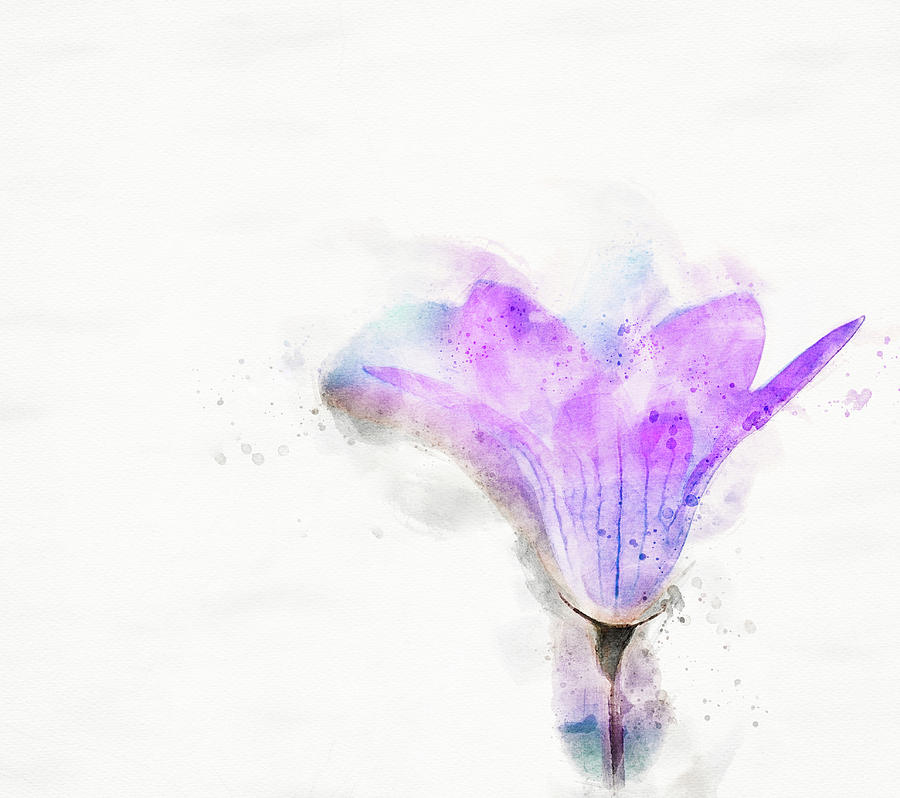 Spring Bluebell Digital Art by Edita Edith Anna Brus Spring Bluebell Digital Art by Edita Edith Anna Brus