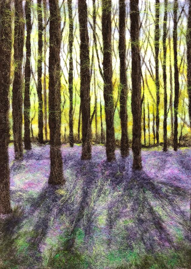 Bluebells 6 by Ushma Sargeant Bluebells 6 by Ushma Sargeant